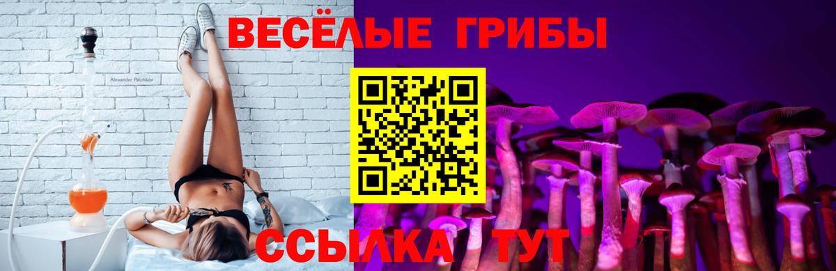 Калач-на-Дону  Галлюциногенные грибы Magic Shrooms  Вход с VPN  Псилоцибиновые грибы Magic Shrooms 